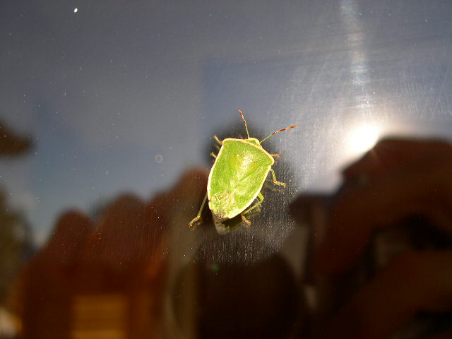DSCN3485.JPG