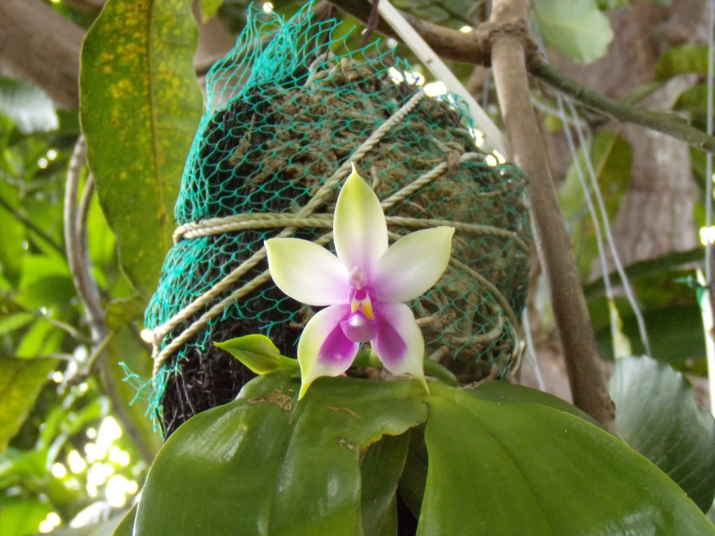 DSCN3496.jpg