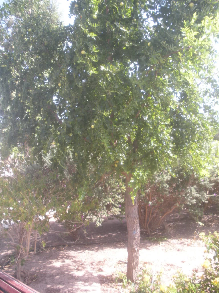 DSCN3496.jpg