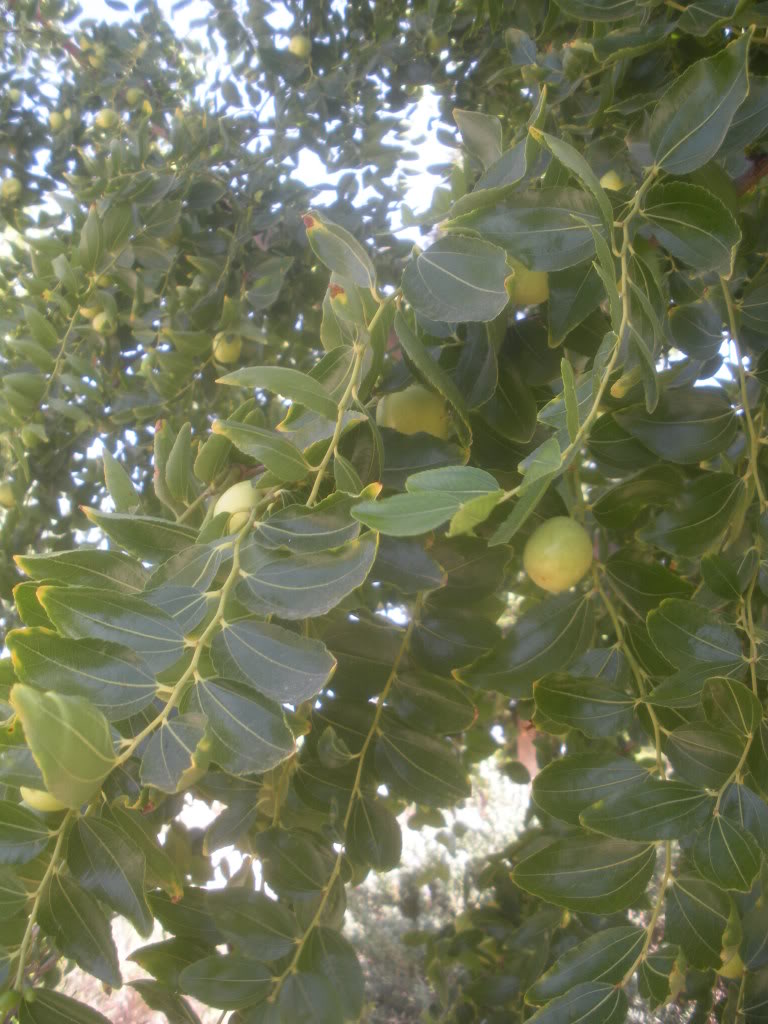 DSCN3500.jpg