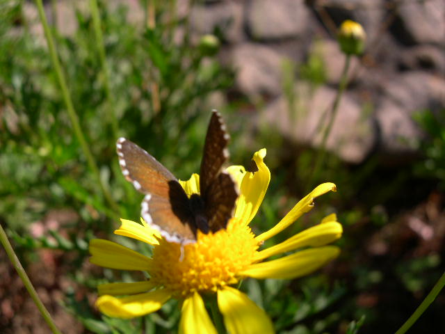 DSCN3523.JPG