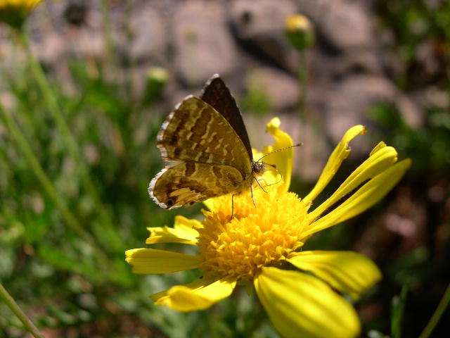 DSCN3525.JPG