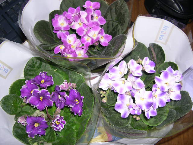 DSCN3547.JPG