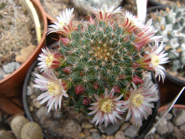 DSCN3557.JPG