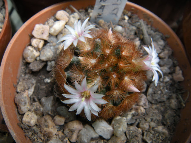 DSCN3571.JPG