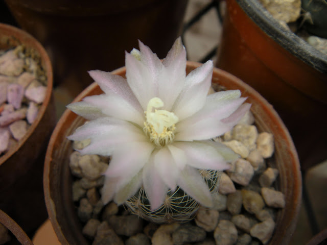 DSCN3574.JPG