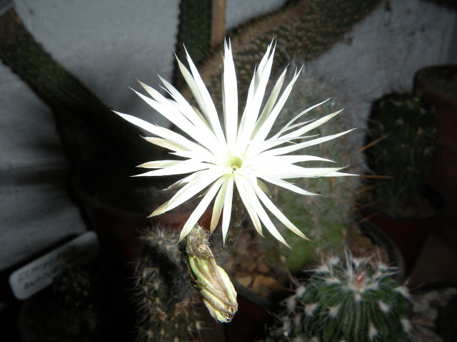DSCN3580.JPG
