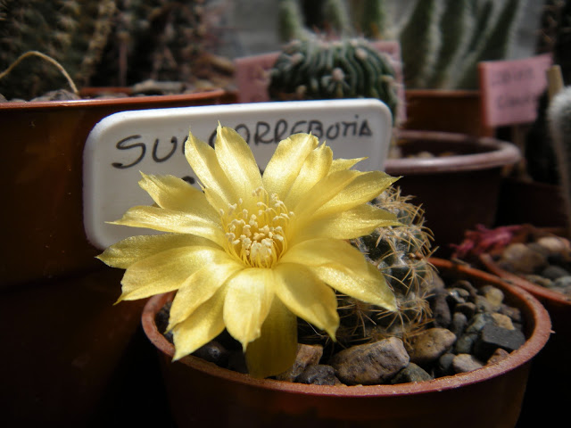 DSCN3596.JPG