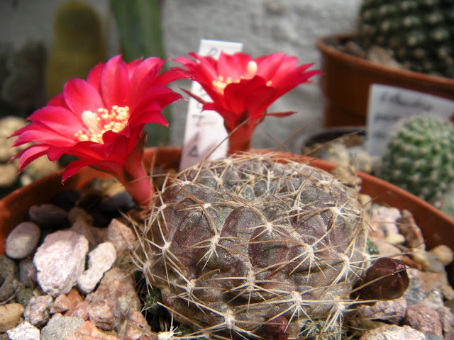 DSCN3597.JPG