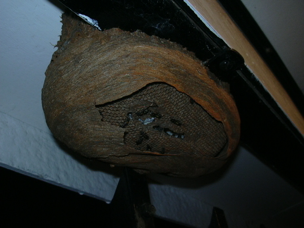 DSCN3598.JPG