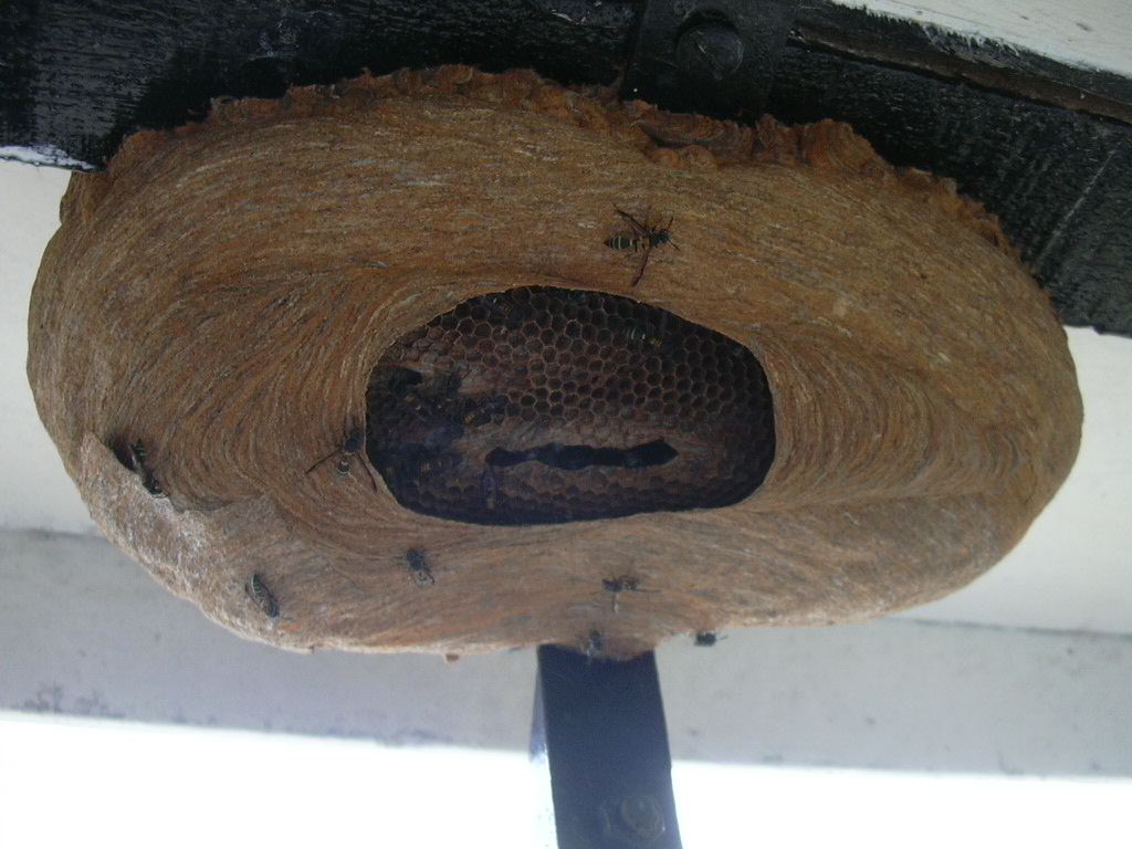 DSCN3603.JPG