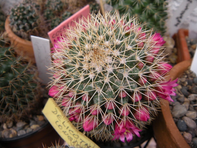 DSCN3624.JPG