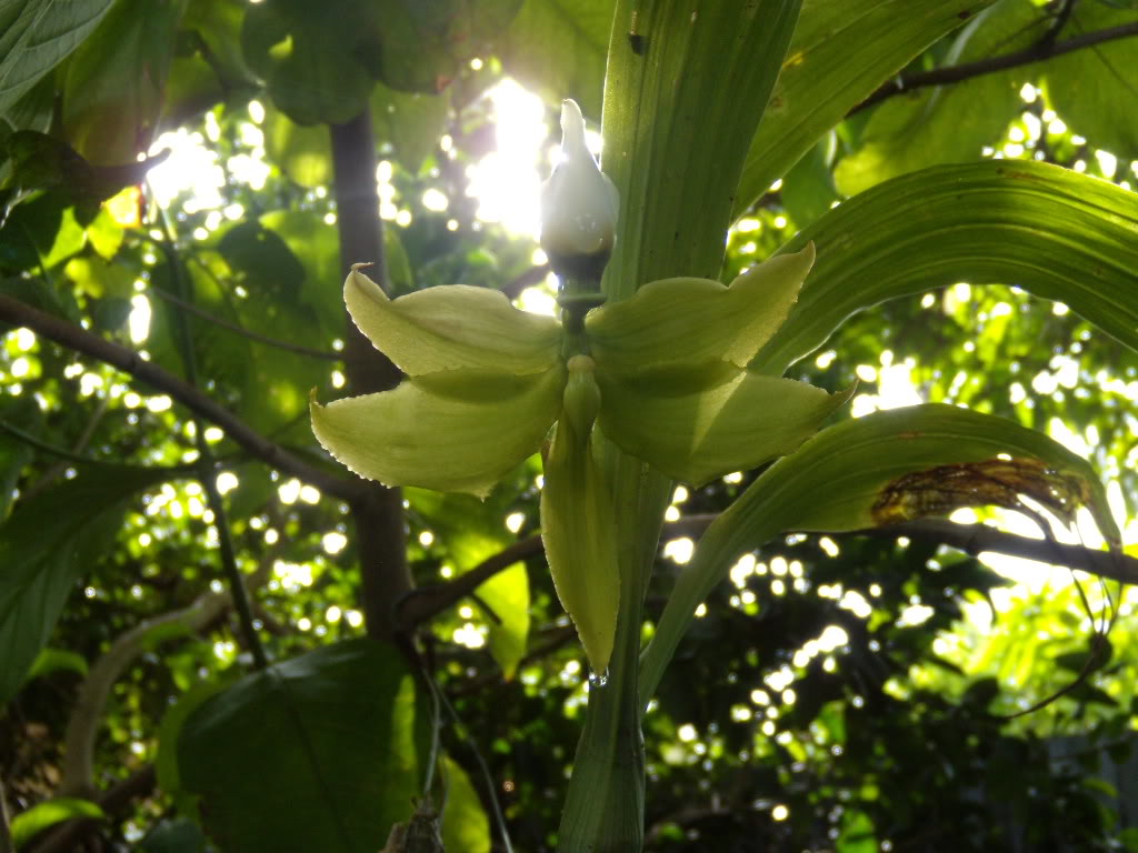 DSCN36272.jpg