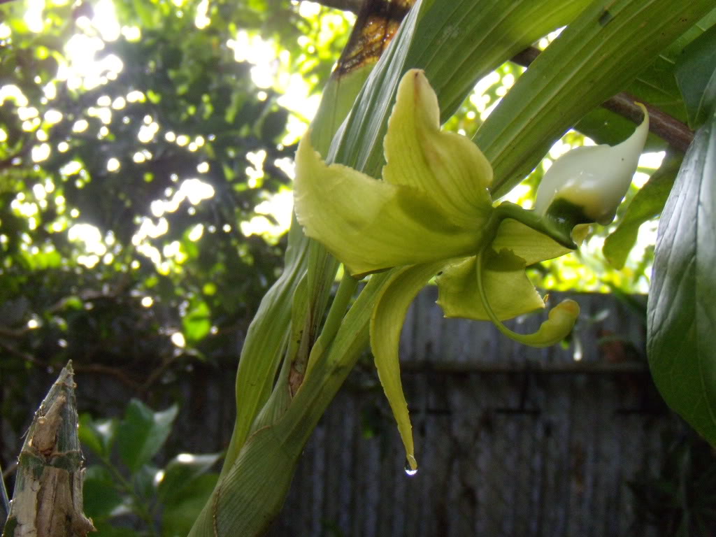 DSCN36281.jpg