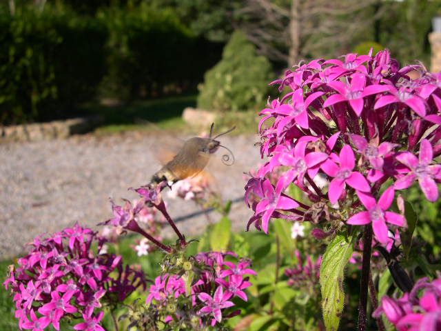 DSCN3637.JPG