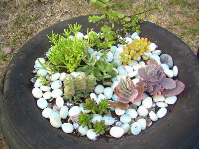 DSCN3639.JPG