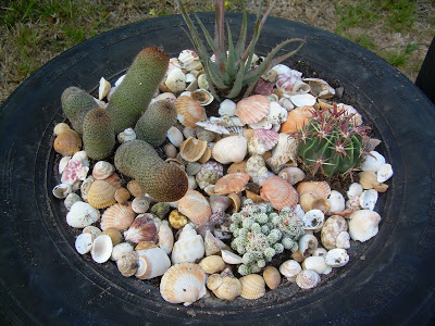 DSCN3640.JPG