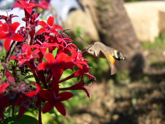 DSCN3647.JPG