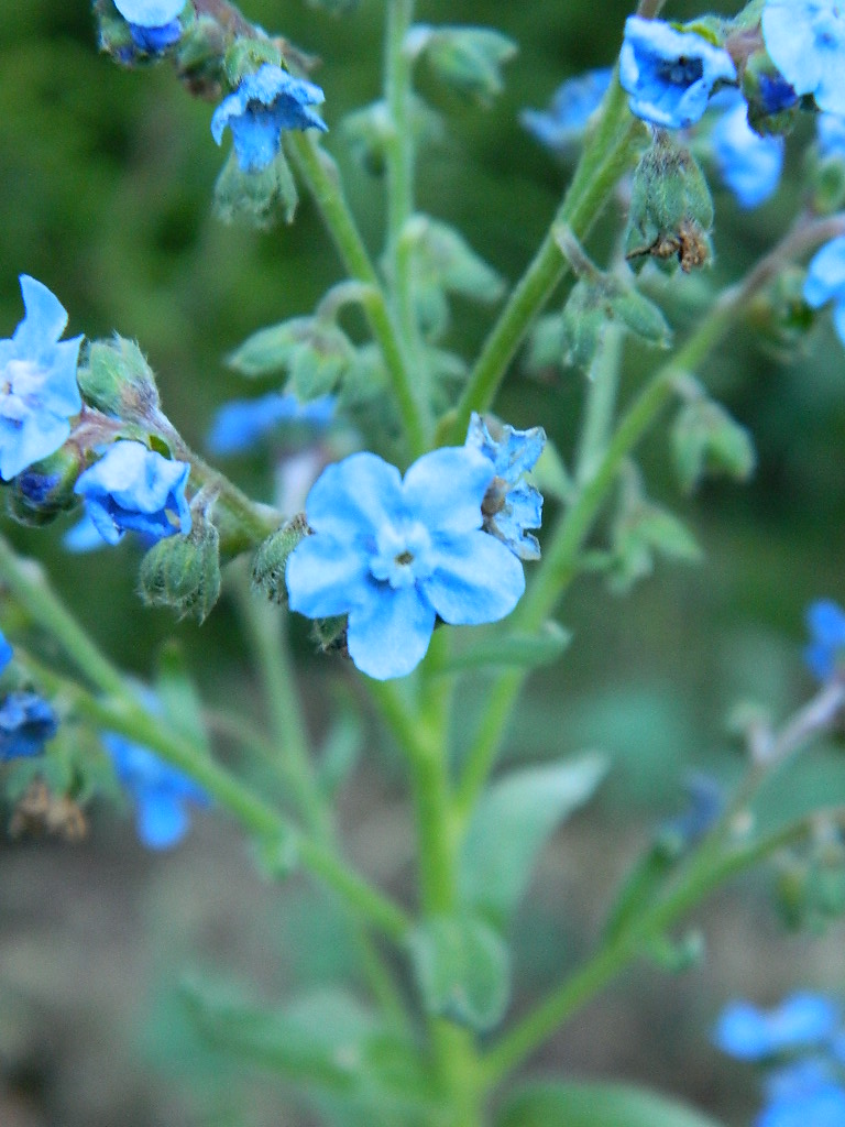 DSCN3668.jpg