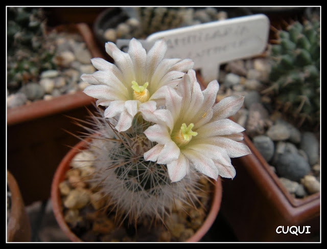 DSCN3675.JPG