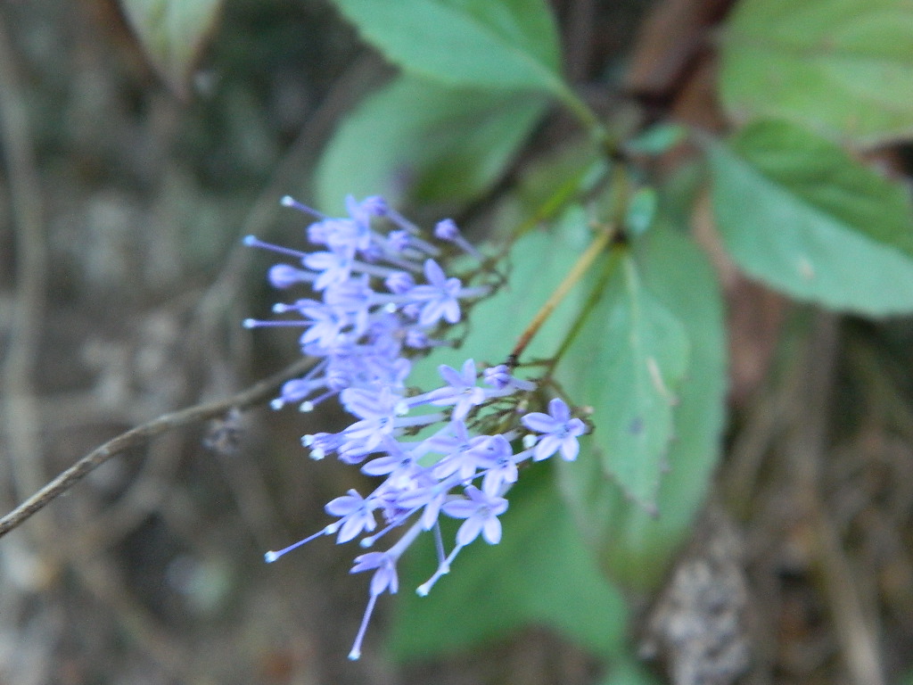 DSCN3680.jpg