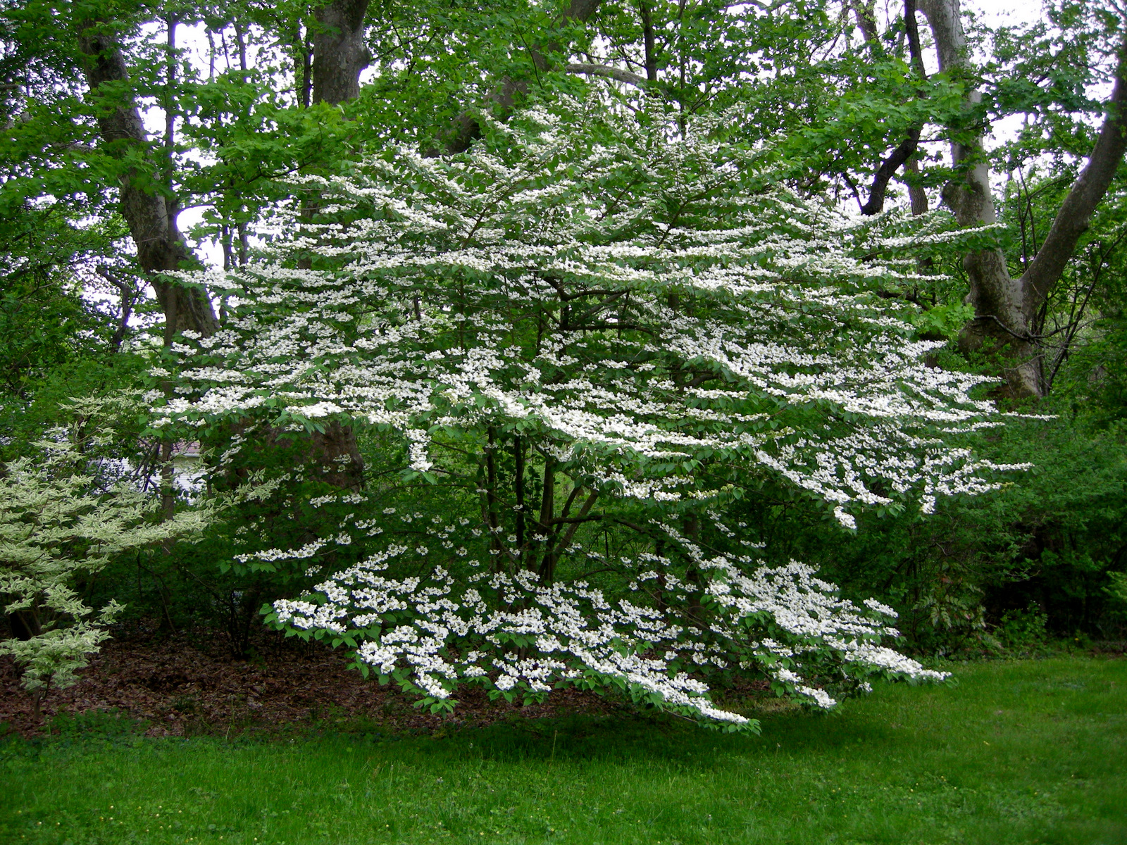 dscn3723.jpg