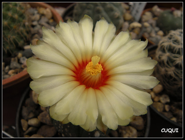 DSCN3748.JPG