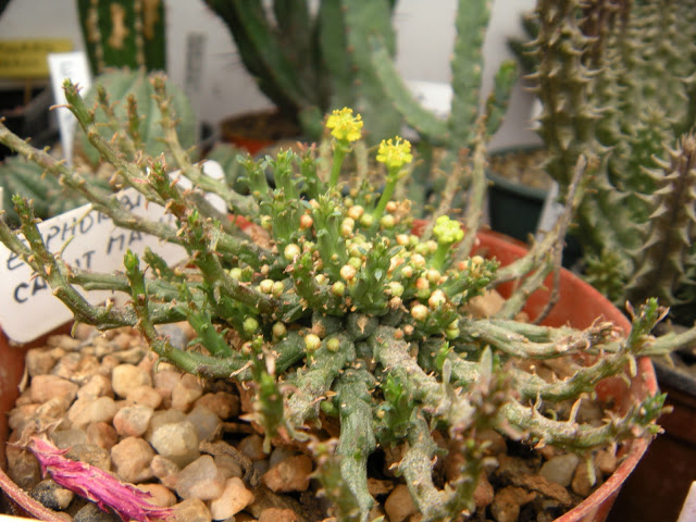 DSCN3771.JPG