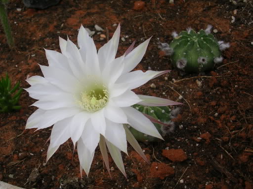 DSCN3791.jpg