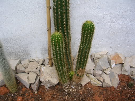 DSCN3801.jpg