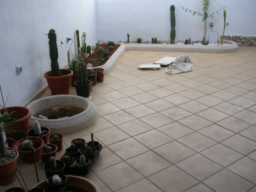 DSCN3804.jpg
