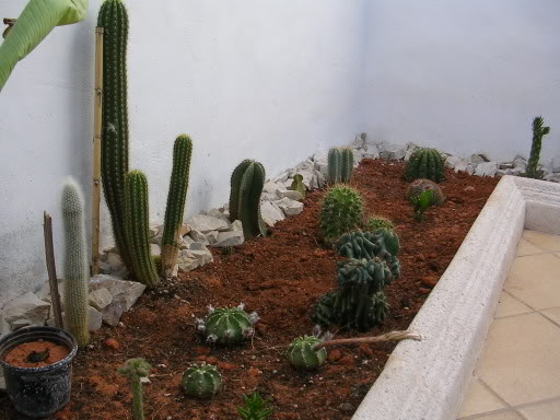 DSCN3805.jpg