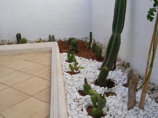 DSCN3806.jpg
