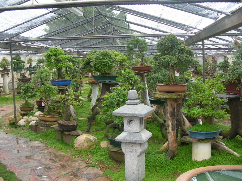 DSCN3817.jpg
