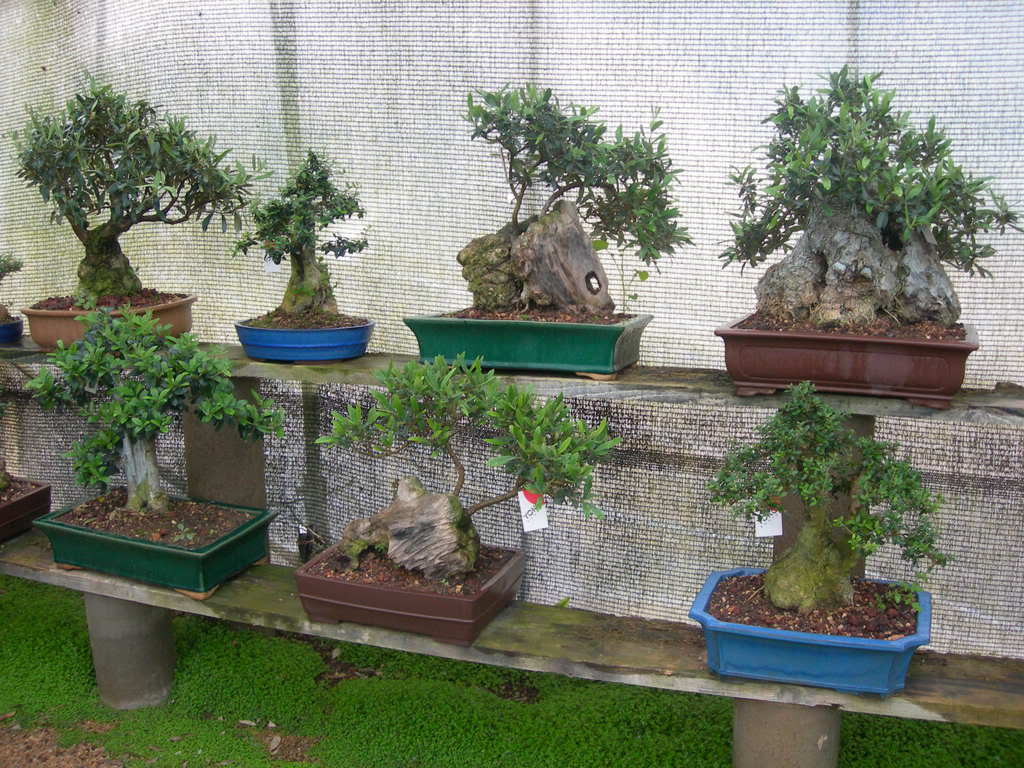 DSCN3818.jpg