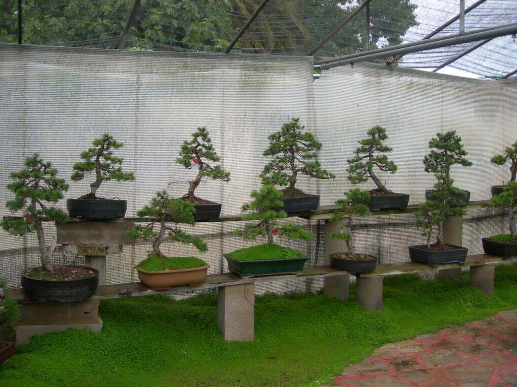DSCN3819.jpg