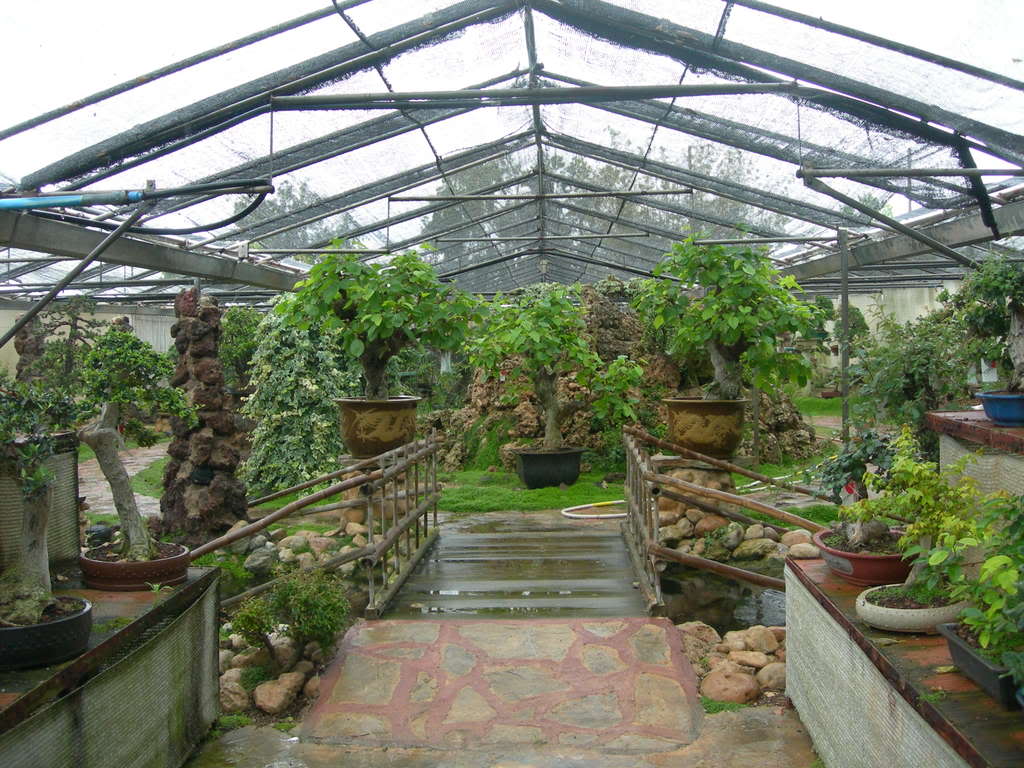 DSCN3820.jpg