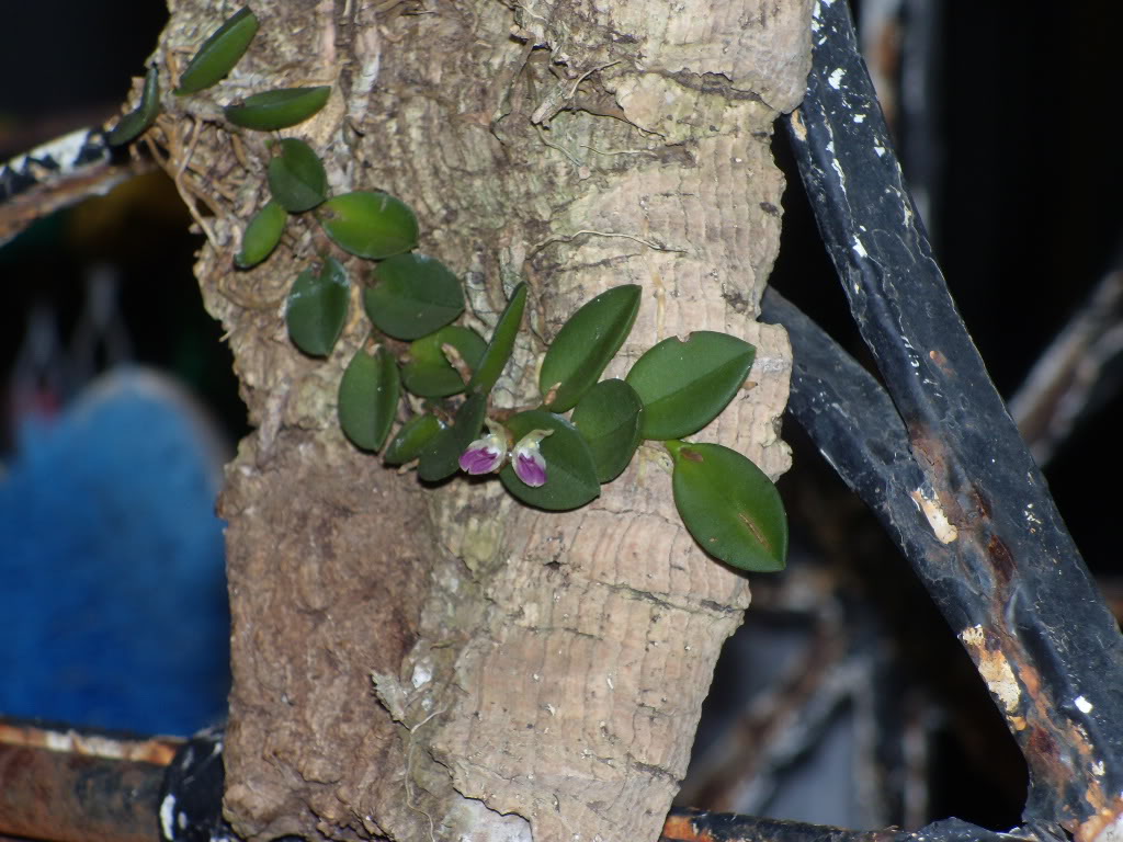 DSCN3820.jpg