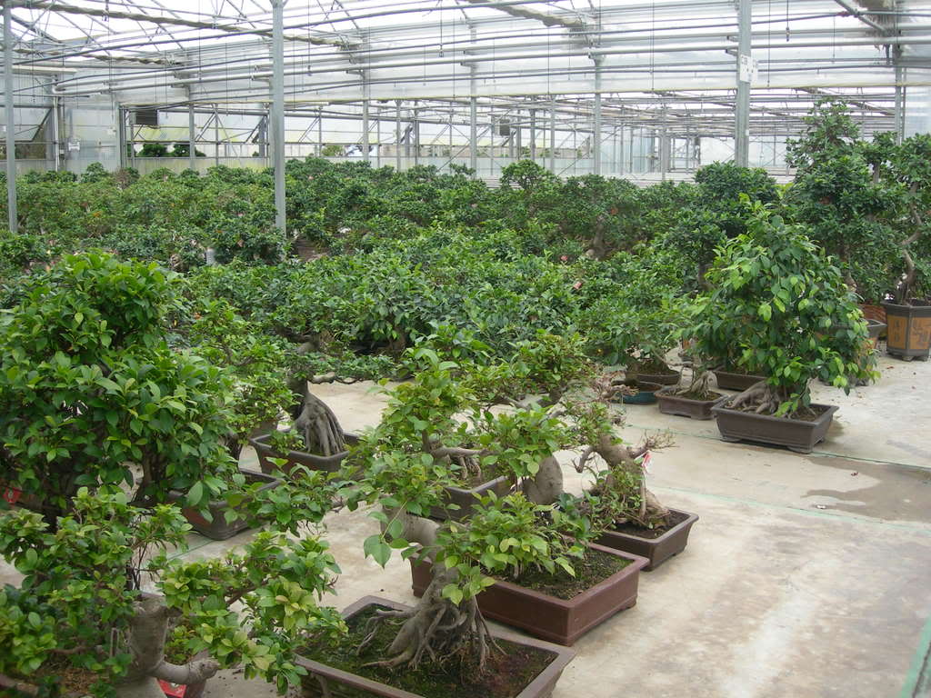 DSCN3823.jpg
