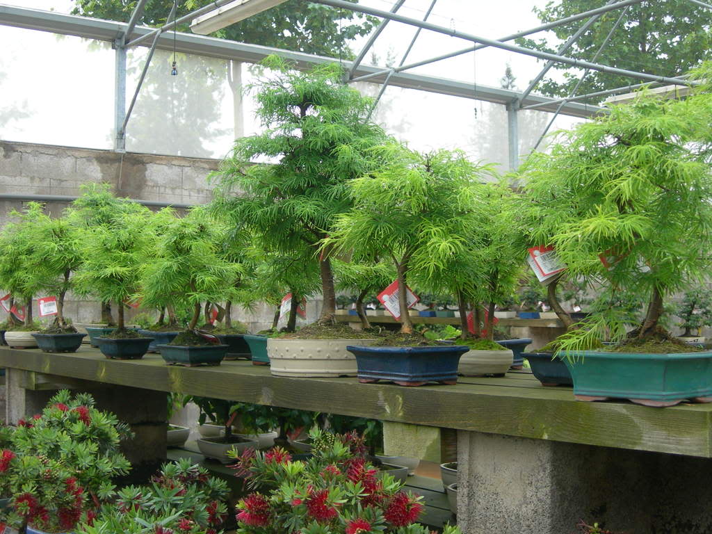 DSCN3824.jpg