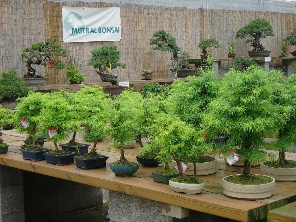 DSCN3826.jpg