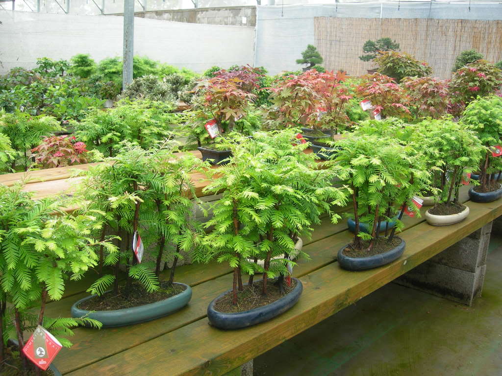DSCN3827.jpg