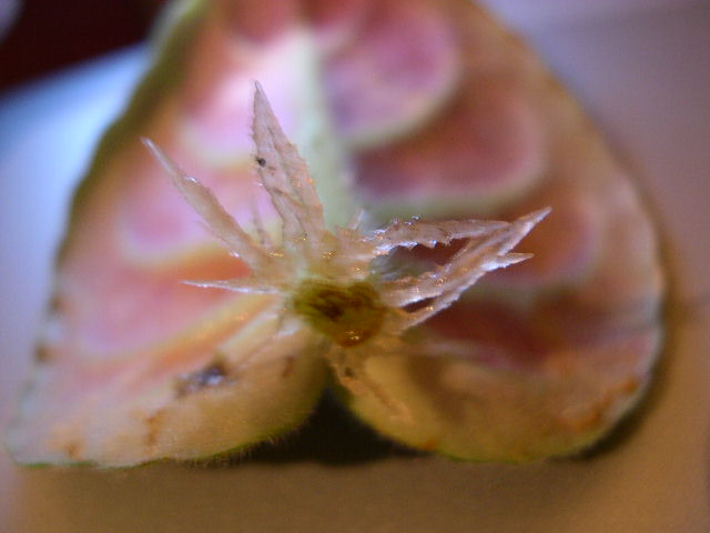 DSCN3827.JPG