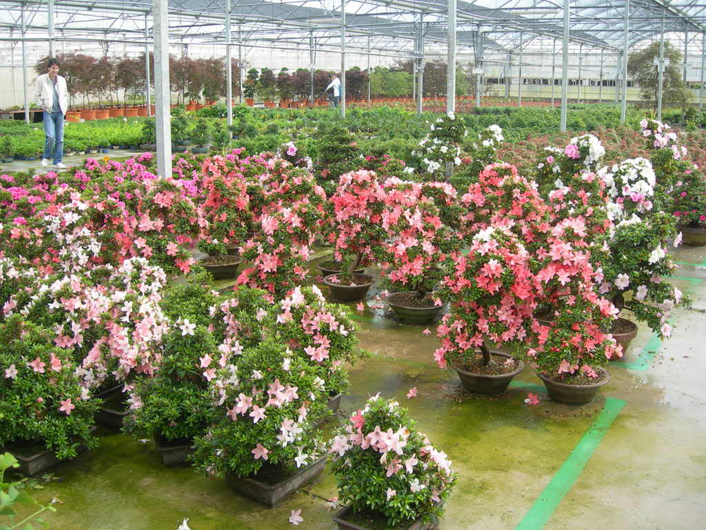 DSCN3828.jpg