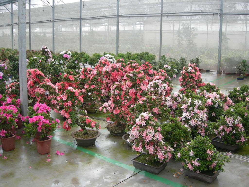 DSCN3829.jpg