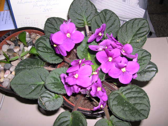 DSCN3830.JPG
