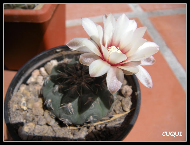 DSCN3830.JPG