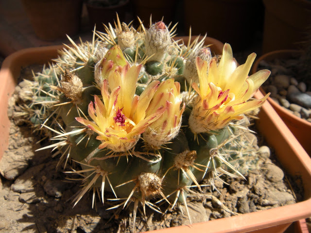 DSCN3834.JPG