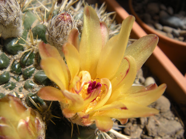 DSCN3835.JPG