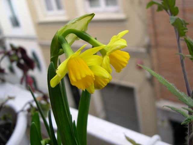 DSCN3843.JPG